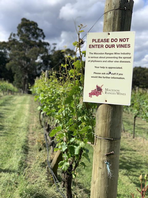 Springhill Winery - Accommodation Gold Coast 3