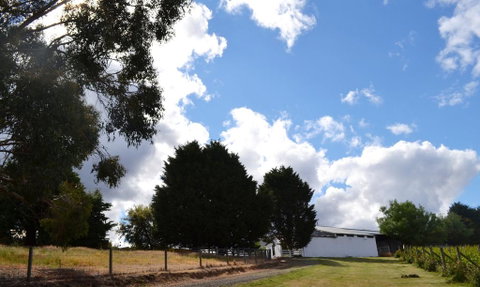 Springhill Winery - Accommodation Gold Coast 2