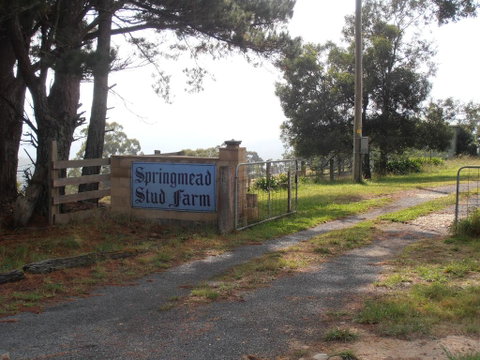 Springmead B&B - Accommodation Gold Coast 2