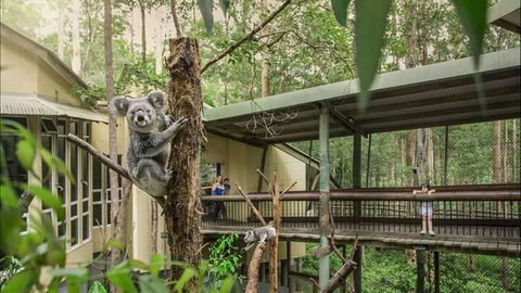Springwood Meditation Centre - Accommodation Gold Coast 0