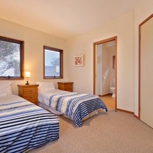 Square Bear-DPA - Accommodation Gold Coast 3