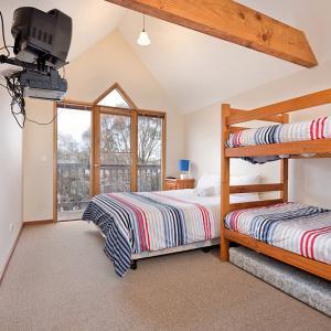 Square Bear-DPA - Accommodation Gold Coast 2