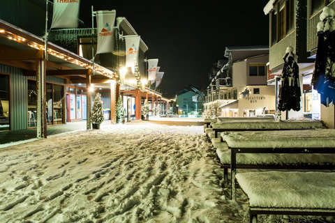 Squatters 11 - 1 Gold Coast 3