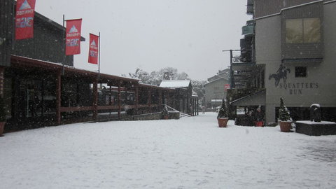 Squatters 11 - 1 Gold Coast 1