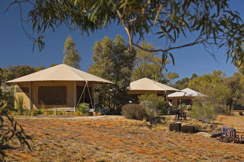 Squeakywindmill Boutique Tent B&B - Accommodation Gold Coast 0