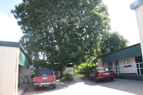 Star Inn Accommodation - Accommodation Gold Coast 3