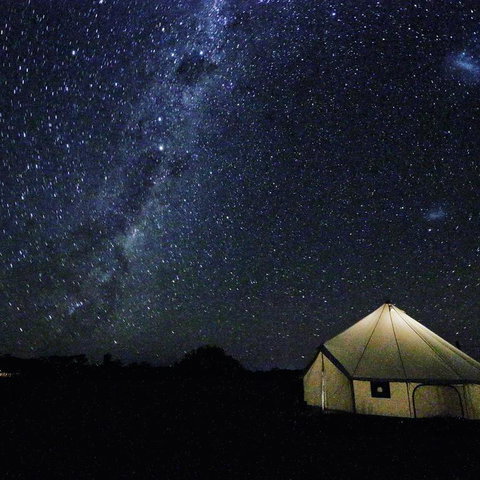 Starfields Luxury Camping - Accommodation Gold Coast 3