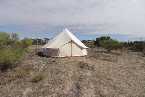 Starfields Luxury Camping - Accommodation Gold Coast 1