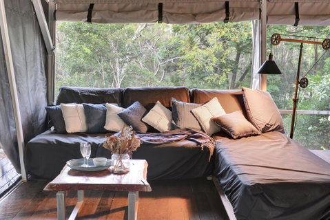 Starry Nights Luxury Camping - Accommodation Gold Coast 1