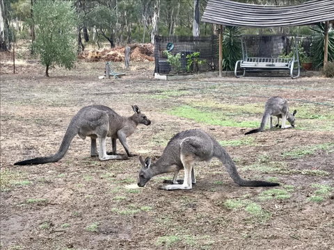 Stawell Holiday Cottages - Accommodation Gold Coast 1