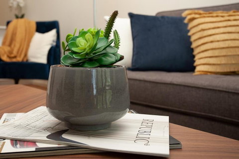 STAY&CO North Sydney Crows Nest - Accommodation Gold Coast 1