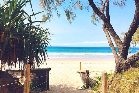 Steps From Mudjimba Beach 3 BR Apt Sunshine Coast With WIFI,Pool,Parking - Accommodation Gold Coast 0