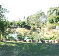 Still Waters - Accommodation Gold Coast