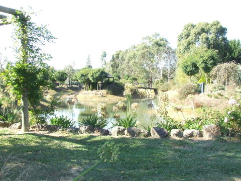 Still Waters - Accommodation Gold Coast 0
