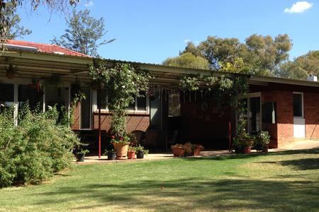 Sue's Sanctuary - Accommodation Gold Coast 3