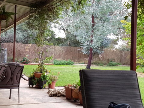Sue's Sanctuary - Accommodation Gold Coast 0