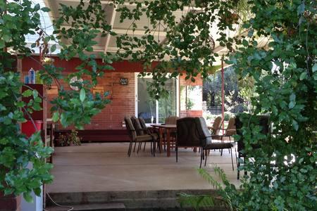 Sue's Sanctuary - Accommodation Gold Coast 1