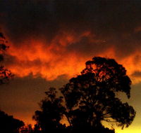 Taits Place Vineyard B  B