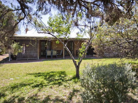 Tea Tree - Accommodation Gold Coast 1