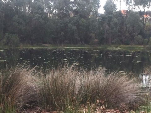Telperon (2 Rooms, 3-4 Guests) - Gold Coast 4U 2