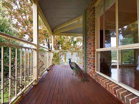 The Acreage Luxury B&B And Guesthouse - 1 Gold Coast 1