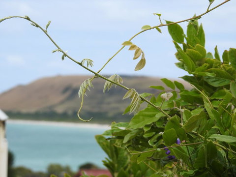 Ellie\'s Cottages - Accommodation Gold Coast 3