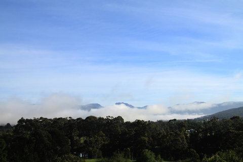 BIG.SHED.HOUSE - Accommodation Gold Coast 11