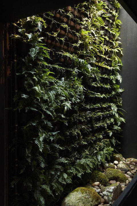 Moss Hotel - Accommodation Gold Coast 2