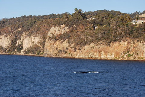 Beachside Taroona With Spa - Accommodation Gold Coast 29