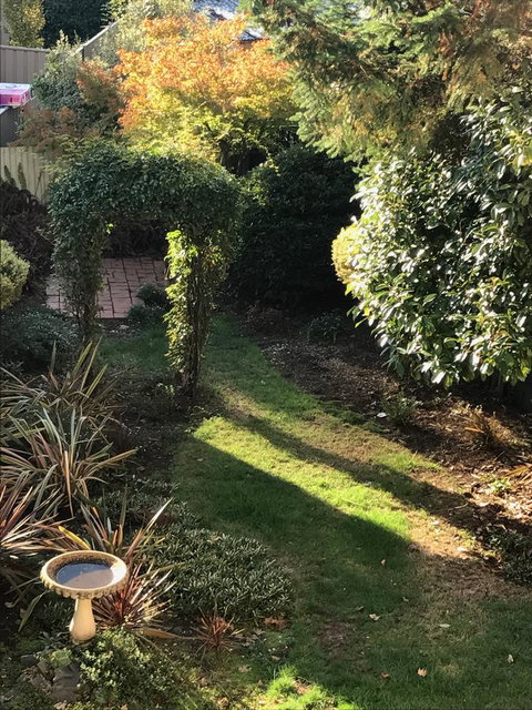 Maple Cottage - Accommodation Gold Coast 1