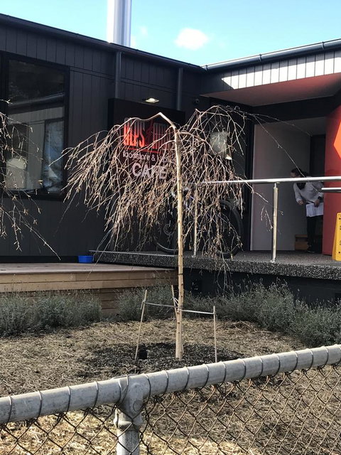 Maple Cottage - Accommodation Gold Coast 19