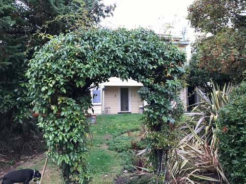 Maple Cottage - Accommodation Gold Coast 26