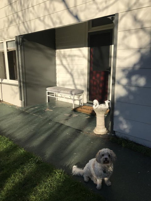 Maple Cottage - Accommodation Gold Coast 3