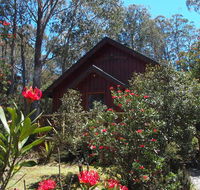 Cradle Mountain Highlanders - Accommodation Gold Coast