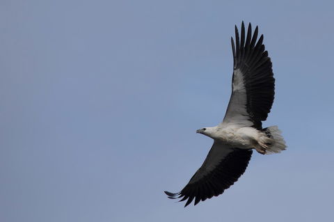 Arthur Riverfront And Sea Lodge Downstream - Accommodation Gold Coast 37