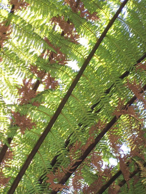 Arthur Riverfront And Sea Lodge Downstream - Accommodation Gold Coast 31