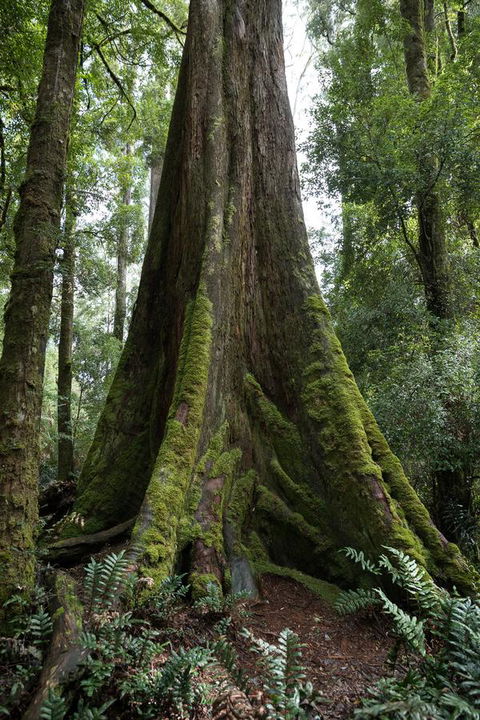 Arthur Riverfront And Sea Lodge Downstream - Accommodation Gold Coast 33
