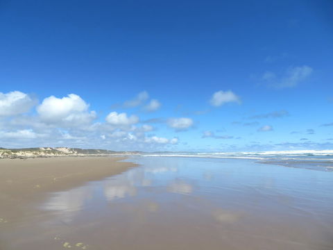 Arthur Riverfront And Sea Lodge Downstream - Accommodation Gold Coast 24