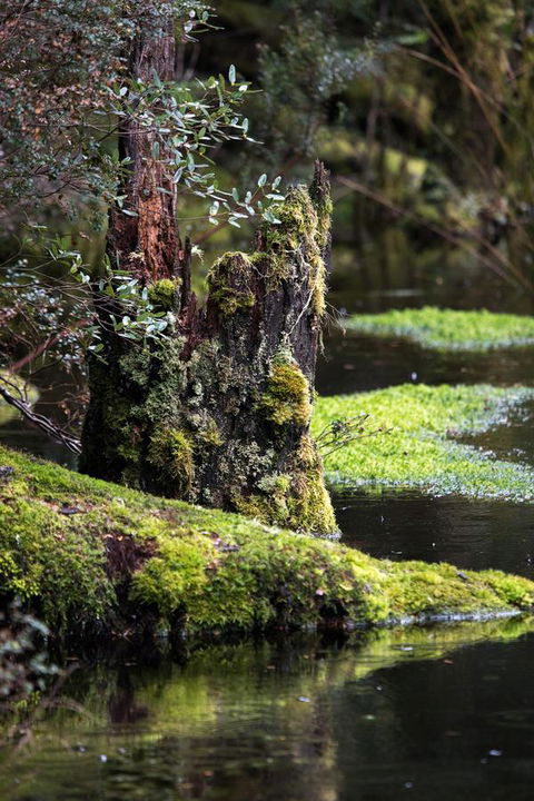 Arthur Riverfront And Sea Lodge Downstream - Accommodation Gold Coast 30