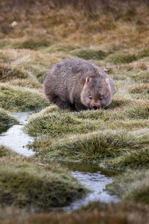 Arthur Riverfront And Sea Lodge Downstream - Accommodation Gold Coast 40