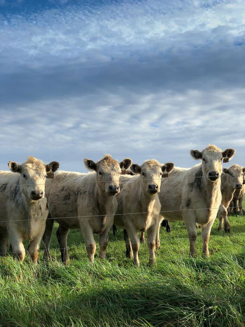 Arthur Riverfront And Sea Lodge Downstream - Accommodation Gold Coast 43