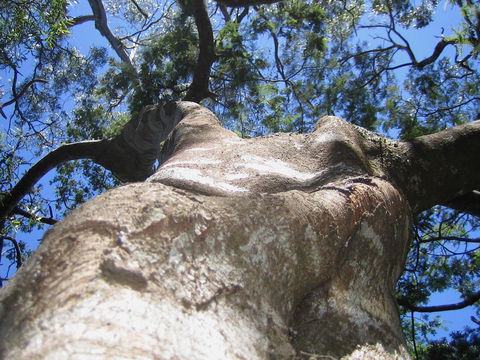 Arthur Riverfront And Sea Lodge Downstream - Accommodation Gold Coast 32