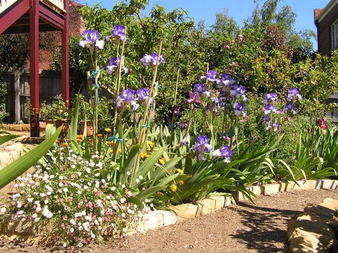 Bendalls Bed And Breakfast - Accommodation Gold Coast 10
