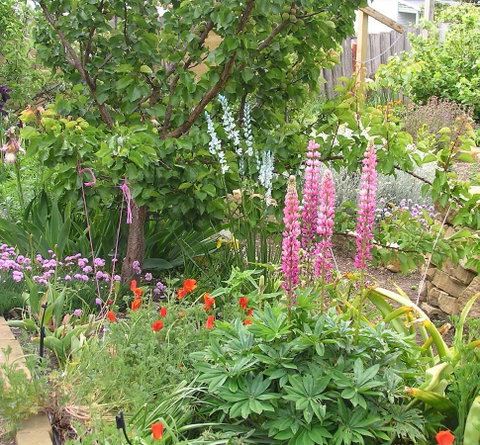 Bendalls Bed And Breakfast - Accommodation Gold Coast 14