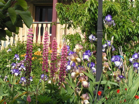 Bendalls Bed And Breakfast - Accommodation Gold Coast 19