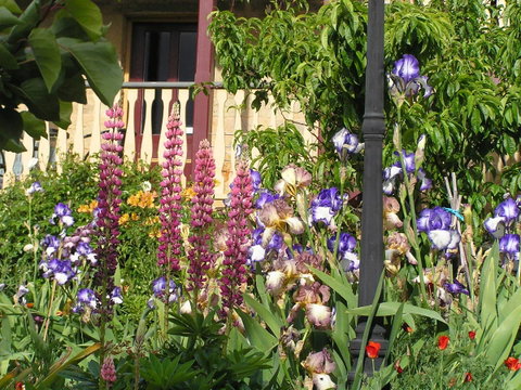 Bendalls Bed And Breakfast - Accommodation Gold Coast 8