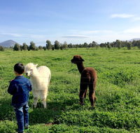 Taras Richmond Farmstay - Accommodation Gold Coast