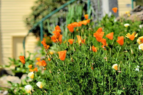 St. Pauls Bed & Breakfast - Accommodation Gold Coast 44