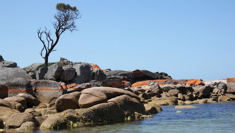 BAY OF FIRES SEACHANGE Ocean Frontage - Accommodation Gold Coast 21