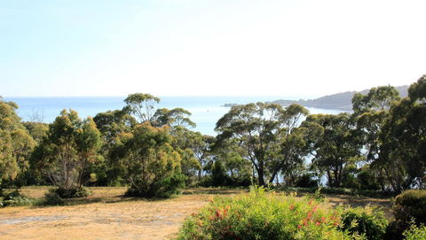 BAY OF FIRES SEACHANGE Ocean Frontage - Accommodation Gold Coast 16